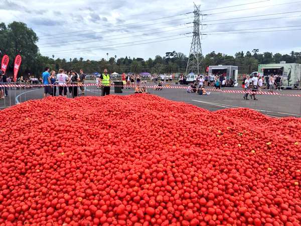 جشن گوجه فرنگی در شیلی