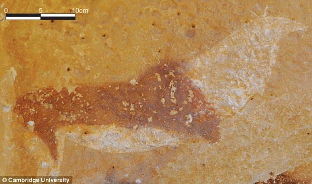 کشف قدیمی ترین نقاشی های سنگی به قدمت 5 هزار سال