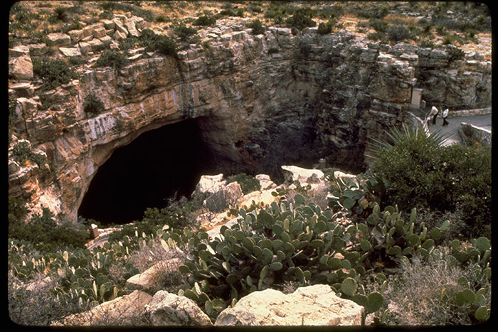 Carlsbad_Caverns_National_Park_CAVE4513
