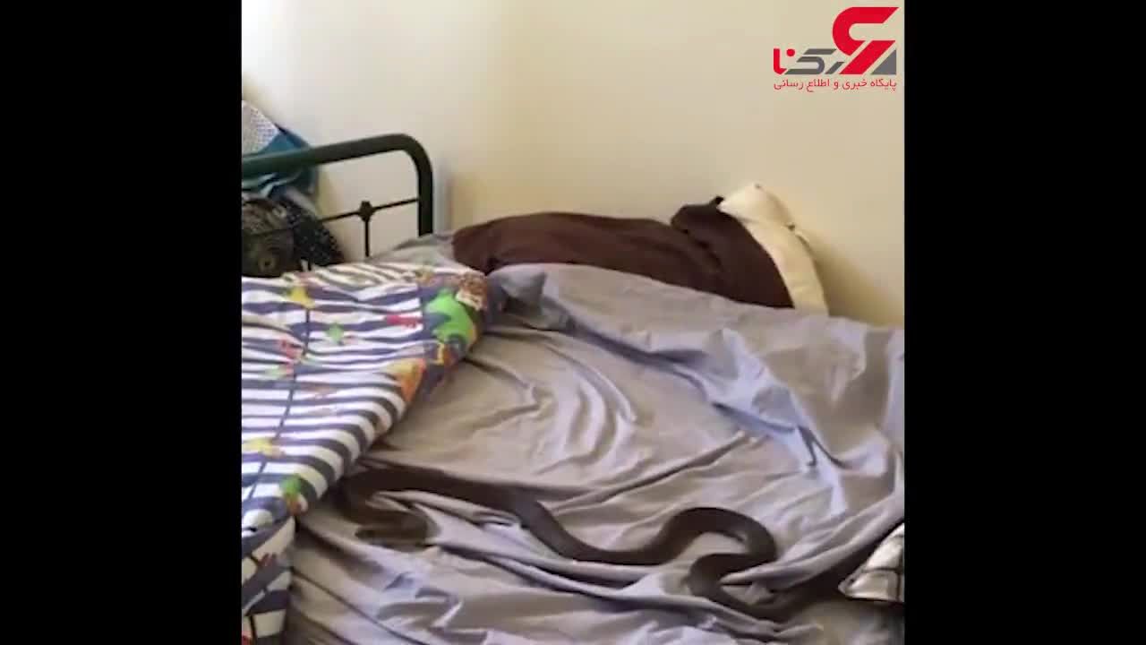 مهمان ناخوانده تختخواب این مرد او را فراری داد فیلم