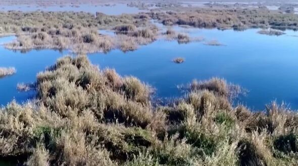 آبگیری ۵۷ درصدی تالاب هورالعظیم/تلاش دیپلماتیک برای پیشگیری از آتش‌سوزی احتمالی بخش عراقی تالاب هورالعظیم

